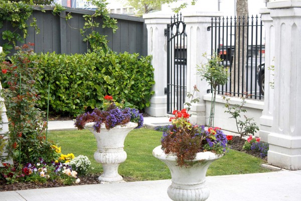 front-garden